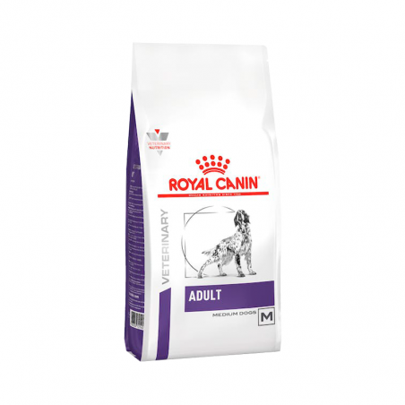 Royal Canin Chien Adulte 4kg