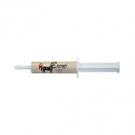 Crono Electrolytes Pasta Oral 30g