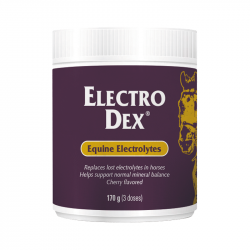 Sales Solubles Electro Dex 170g