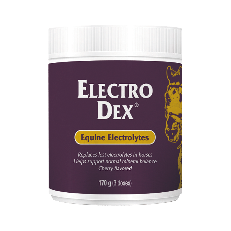 Electro Dex Sels Solubles 170g