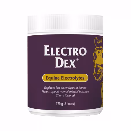 Electro Dex Sales Solubles 170g