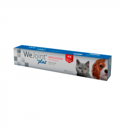 Wejoint Plus Pâte 30ml