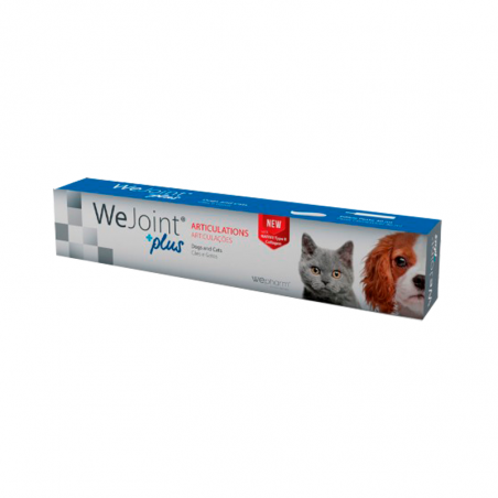 Wejoint Plus Pâte 30ml