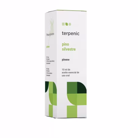 Terpenic Pine Sylvester Bio Essential Oil 10ml