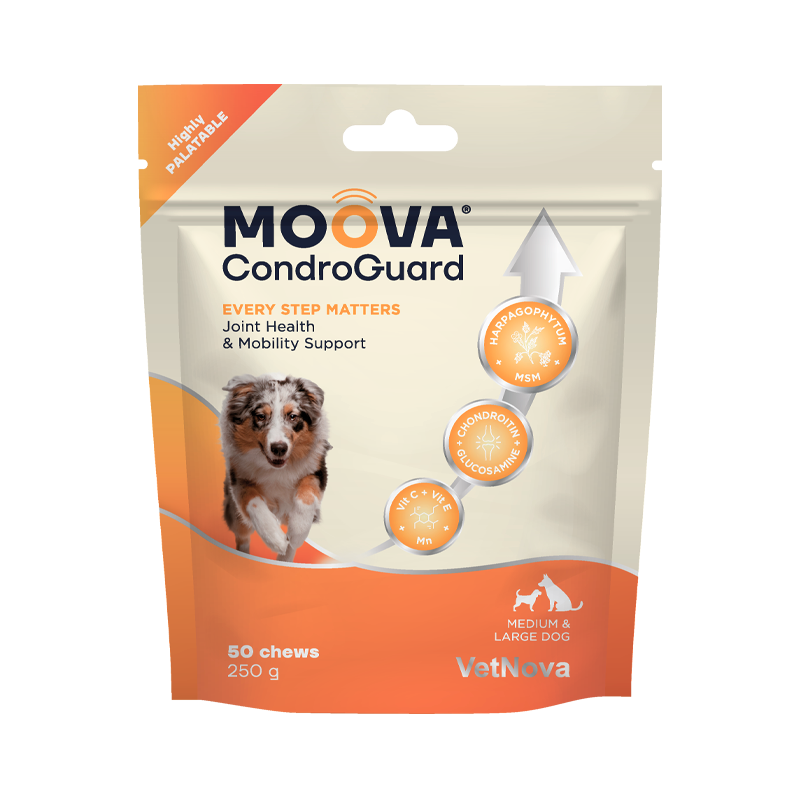Moova CondroGuard Raças Médias e Grandes 50 comprimidos mastigáveis