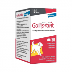 Galliprant 100 mg 30 comprimidos