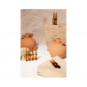 AOK Labs Perfect Night 15 ampoules