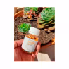 Heliocare Oral 3x60 capsules