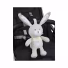 Chicco Bunny Sweet Melodies