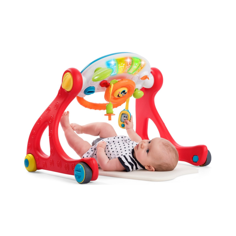 Chicco Grow and Walk Gym