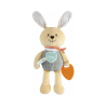 Chicco Bunny First Activities