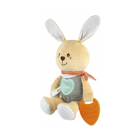 Chicco Bunny First Activities