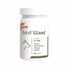 Dolvit Gland 60 comprimidos