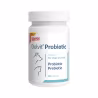 Dolvit Probiotic 60 tablets