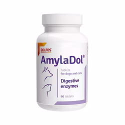 AmylaDol 90 comprimés