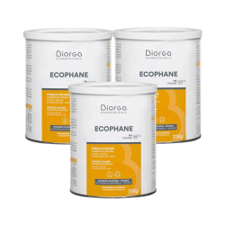 Ecophane Poudre 90 doses 3x318g