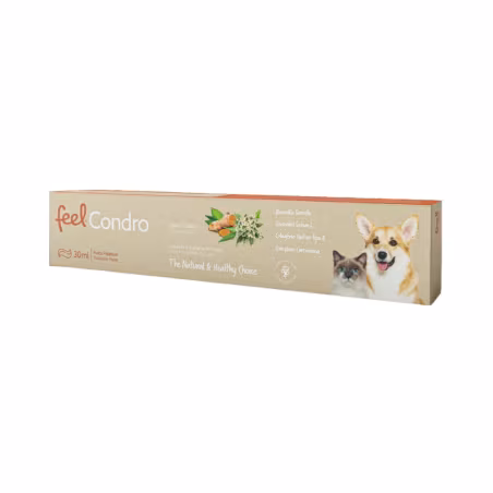 Feelcondro Oral Paste 30ml