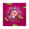 Pulmoll Caramelos Frutas Silvestres 45g