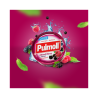 Pulmoll Wild Fruit Candies 45g
