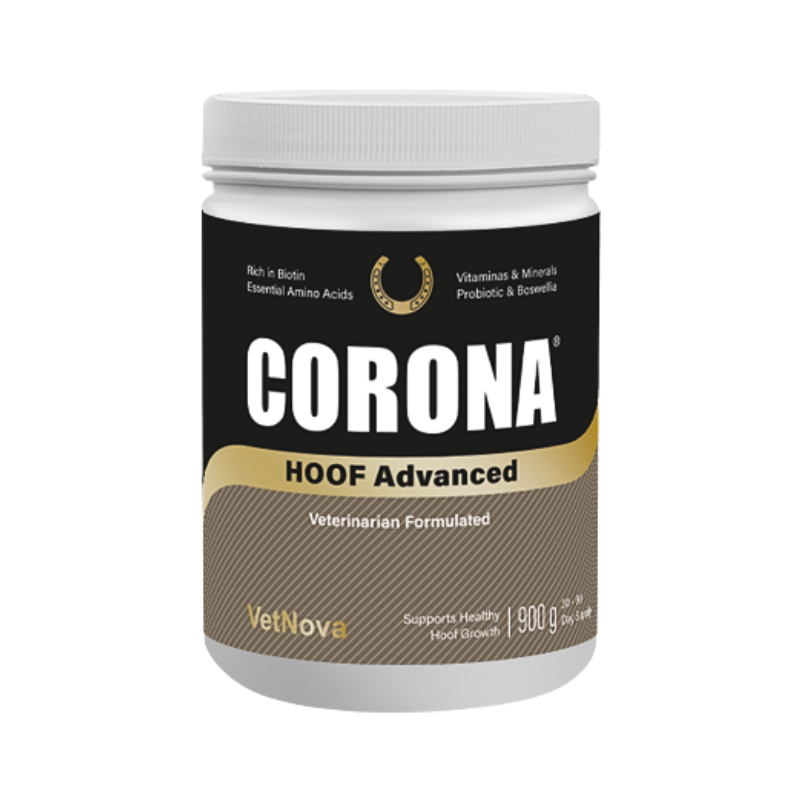 Corona Hoof Advanced 900g