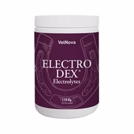 Electro Dex Sais Solúveis 1.13kg