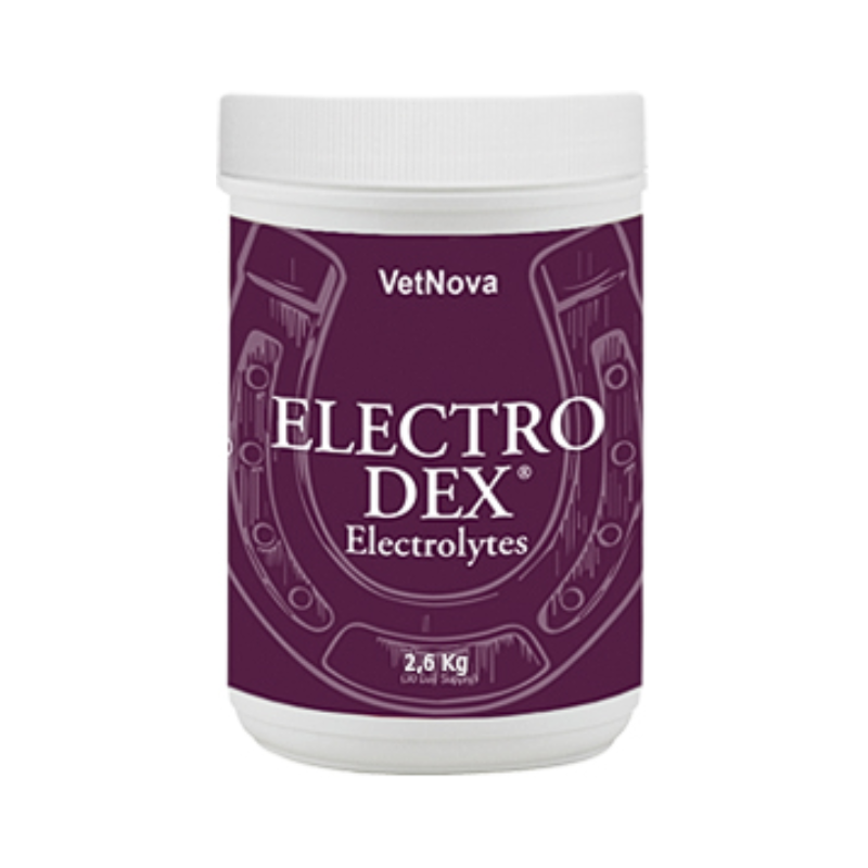 Electro Dex Sels Solubles 2.6kg