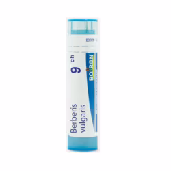 Boiron Berberis Vulgaris 9CH