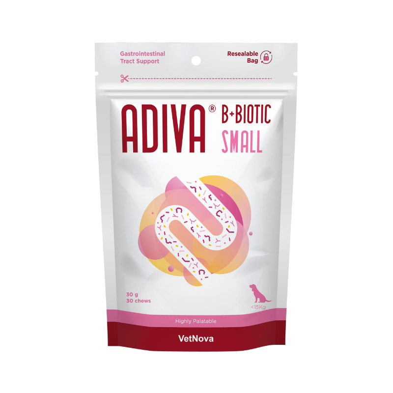 Adiva B+Biotic Small 30 comprimés à croquer