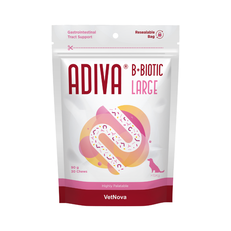 Adiva B+Biotic Large 30 comprimidos mastigáveis