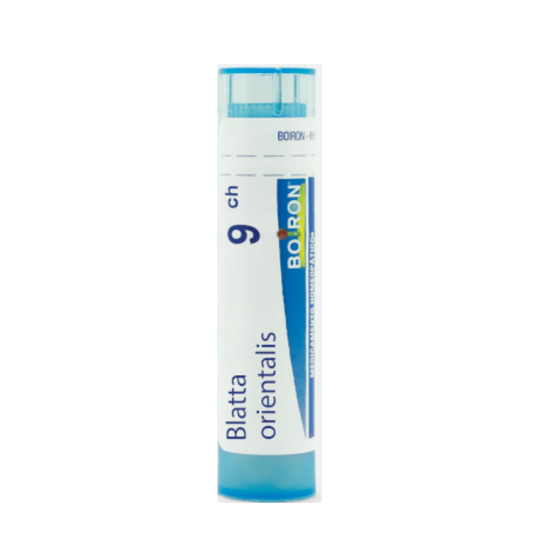 Boiron Blatta Orientalis 9CH