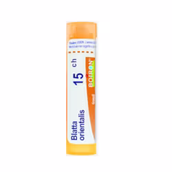 Boiron Blatta Orientalis 15CH