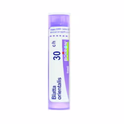 Boiron Blatta Orientalis 30CH