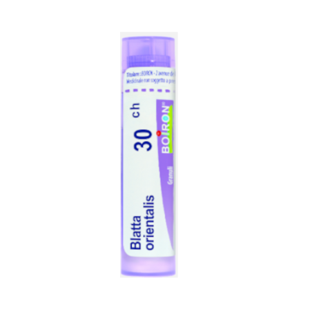 Boiron Blatta Orientalis 30CH Boiron Blatta Orientalis 30CH
