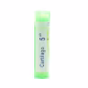 Boiron Cartilago 5CH