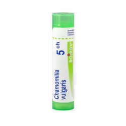 Boiron Chamomilla Vulgaris 5CH