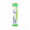 Boiron Chamomilla Vulgaris 5CH