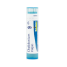 Boiron Chelidonium Majus 9CH