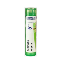 Boiron Clematis Erecta 5CH