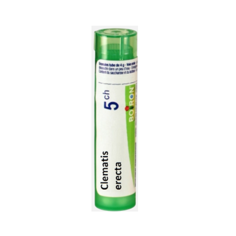 Boiron Clematis Erecta 5CH