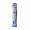 Boiron Asa Foetida 9CH