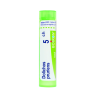 Boiron Dolichos Pruriens 5CH Boiron Dolichos Pruriens 5CH