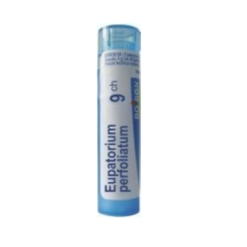 Boiron Eupatorium Perfoliatum 9CH