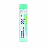 Boiron Ferrum Metallicum 200CH