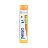 Boiron Hypericum Perforatum 15CH Boiron Hypericum Perforatum 15CH
