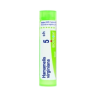 Boiron Hamamelia Virginiana 5CH Boiron Hamamelia Virginiana 5CH