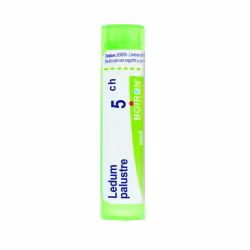 Boiron Ledum Palustre 5CH