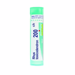 Boiron Rhus Toxicodendron 200CH