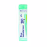 Boiron Rhus Toxicodendron 200CH