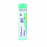Boiron Raphanus Sativus 200CH
