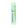 Boiron Staphylococcinum 5CH